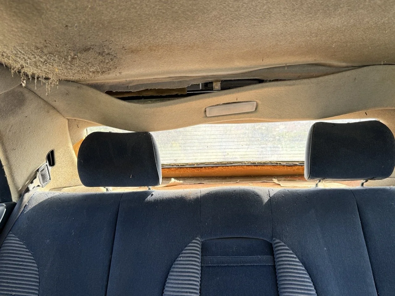 IMG_3432 – grande.jpeg