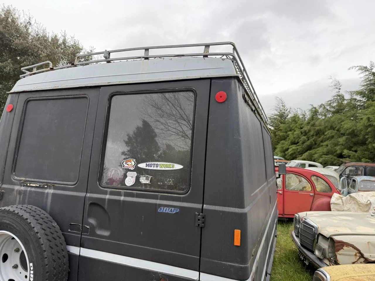 IMG_1319 – grande.jpeg