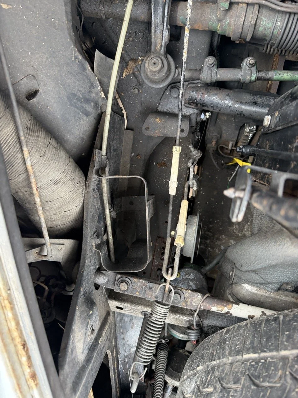 IMG_3746 – grande.jpeg