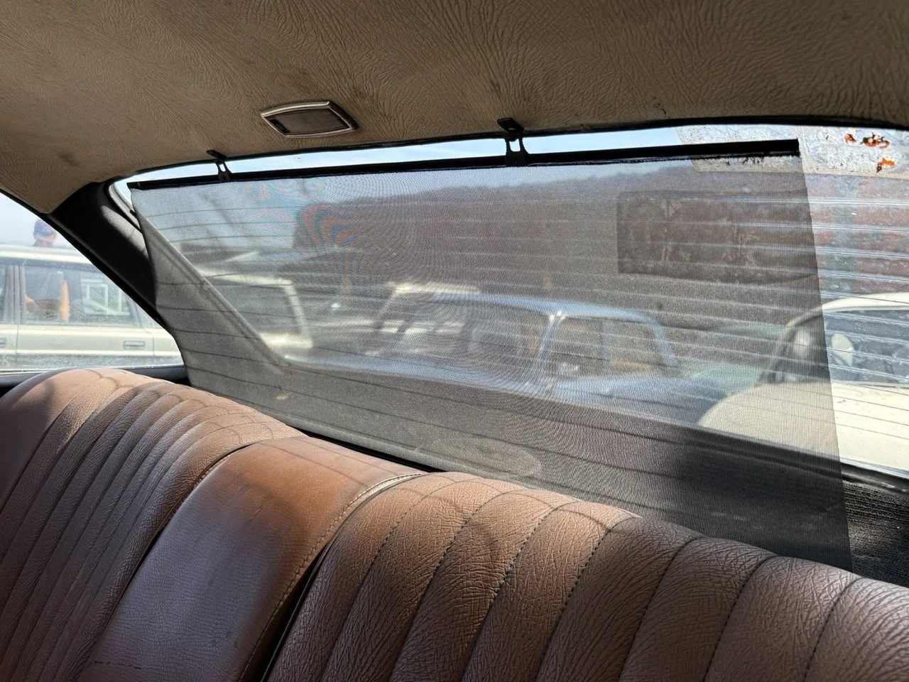 IMG_0591 – grande.jpeg