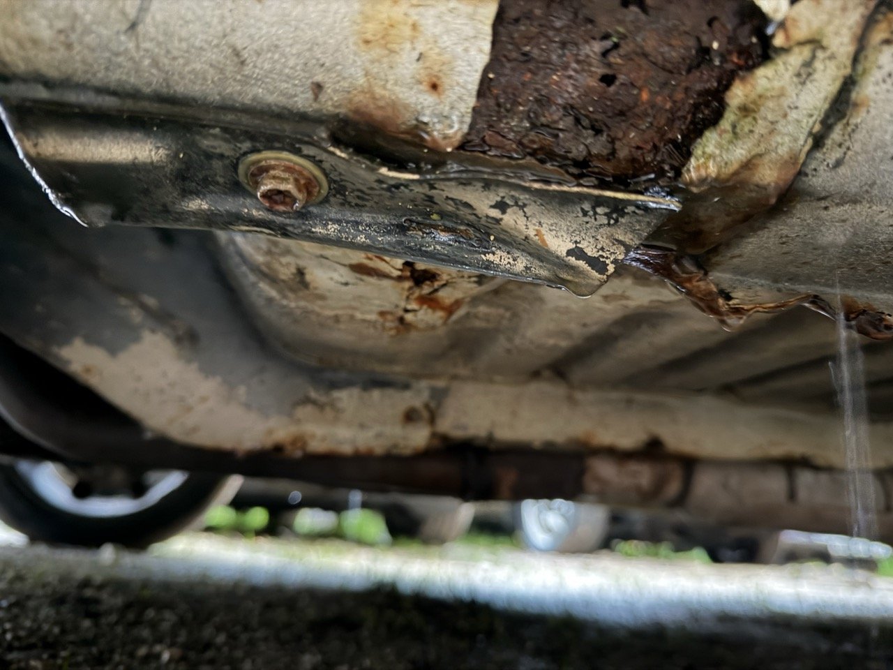 IMG_0206 – grande.jpeg