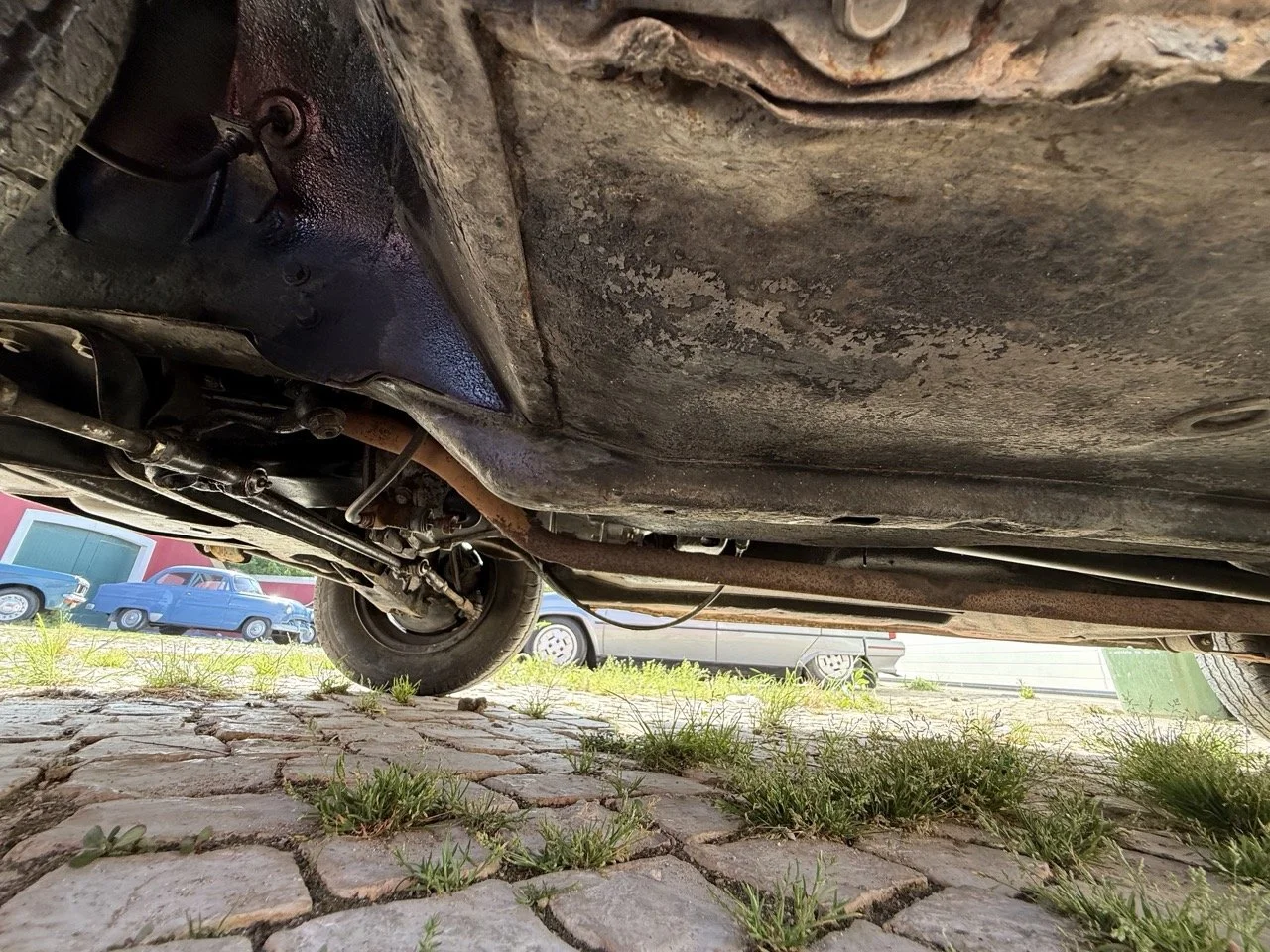 IMG_3660 – grande.jpeg