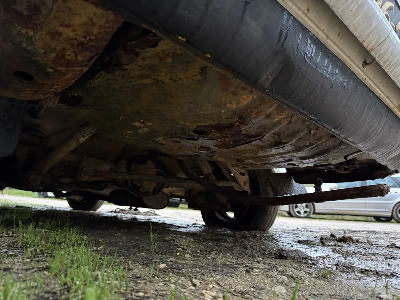 IMG_0150 – grande.jpeg