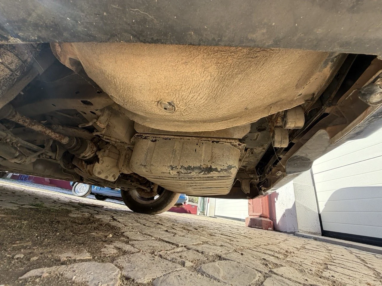 IMG_2819 – grande.jpeg