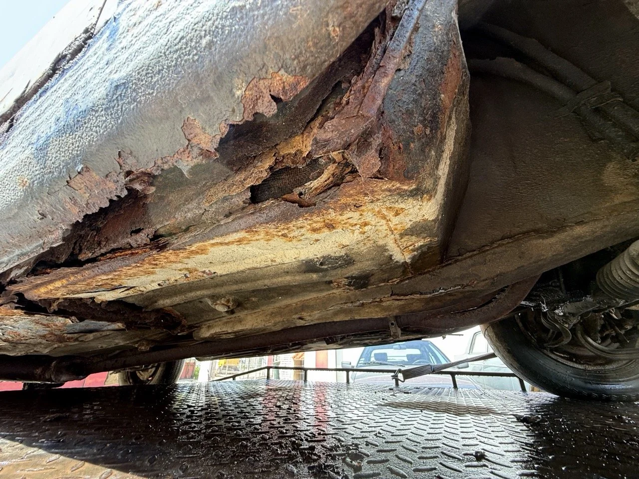 IMG_3476 – grande.jpeg