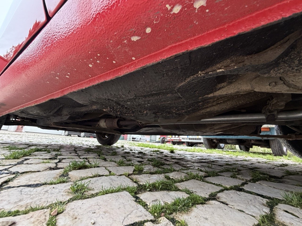 IMG_8317 – grande.jpeg