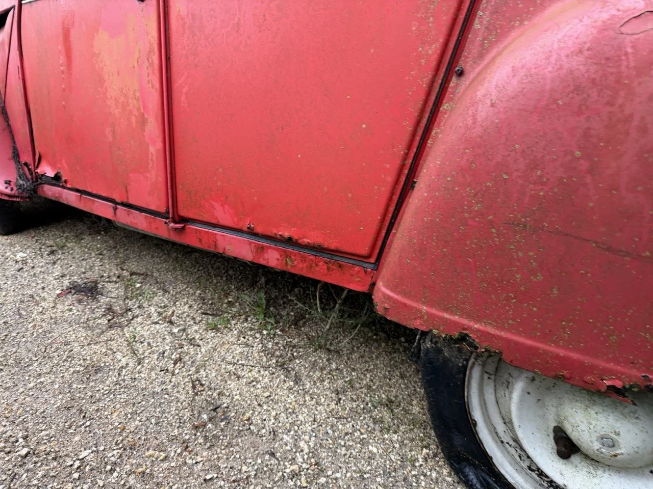 IMG_5484 – grande.jpeg