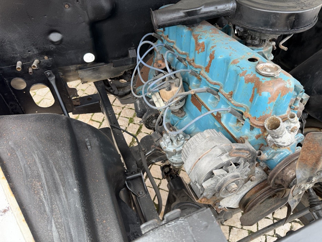 IMG_3941 – grande.jpeg