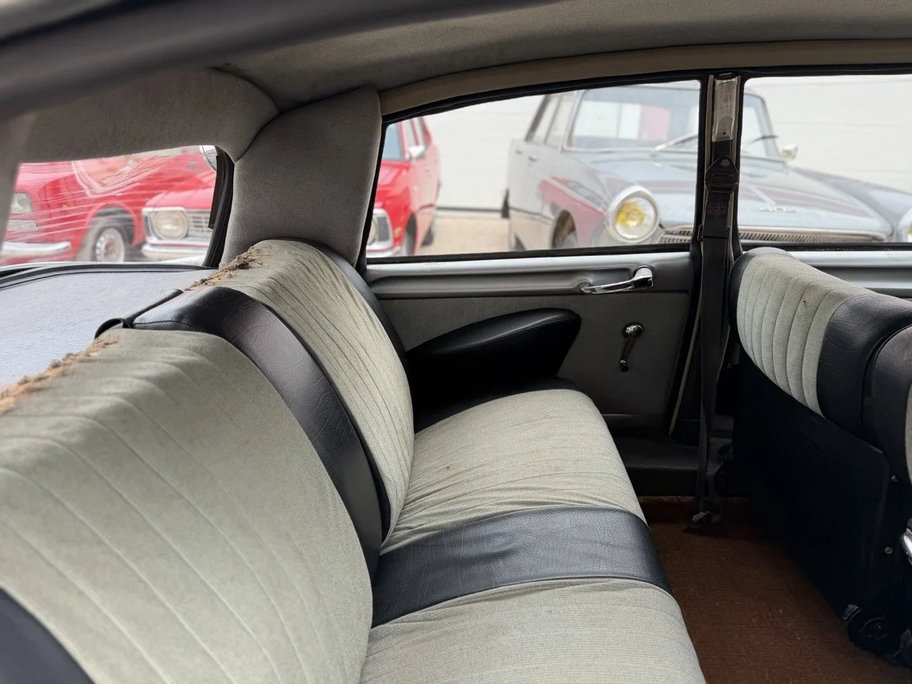 IMG_3723 – grande.jpeg