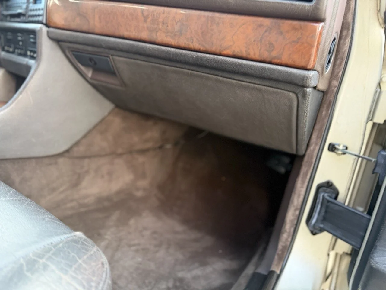 IMG_6945 2 – grande.jpeg