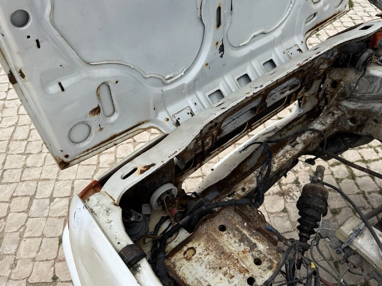 IMG_8560 – grande.jpeg