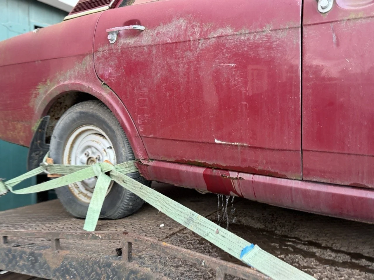 IMG_8984 – grande.jpeg