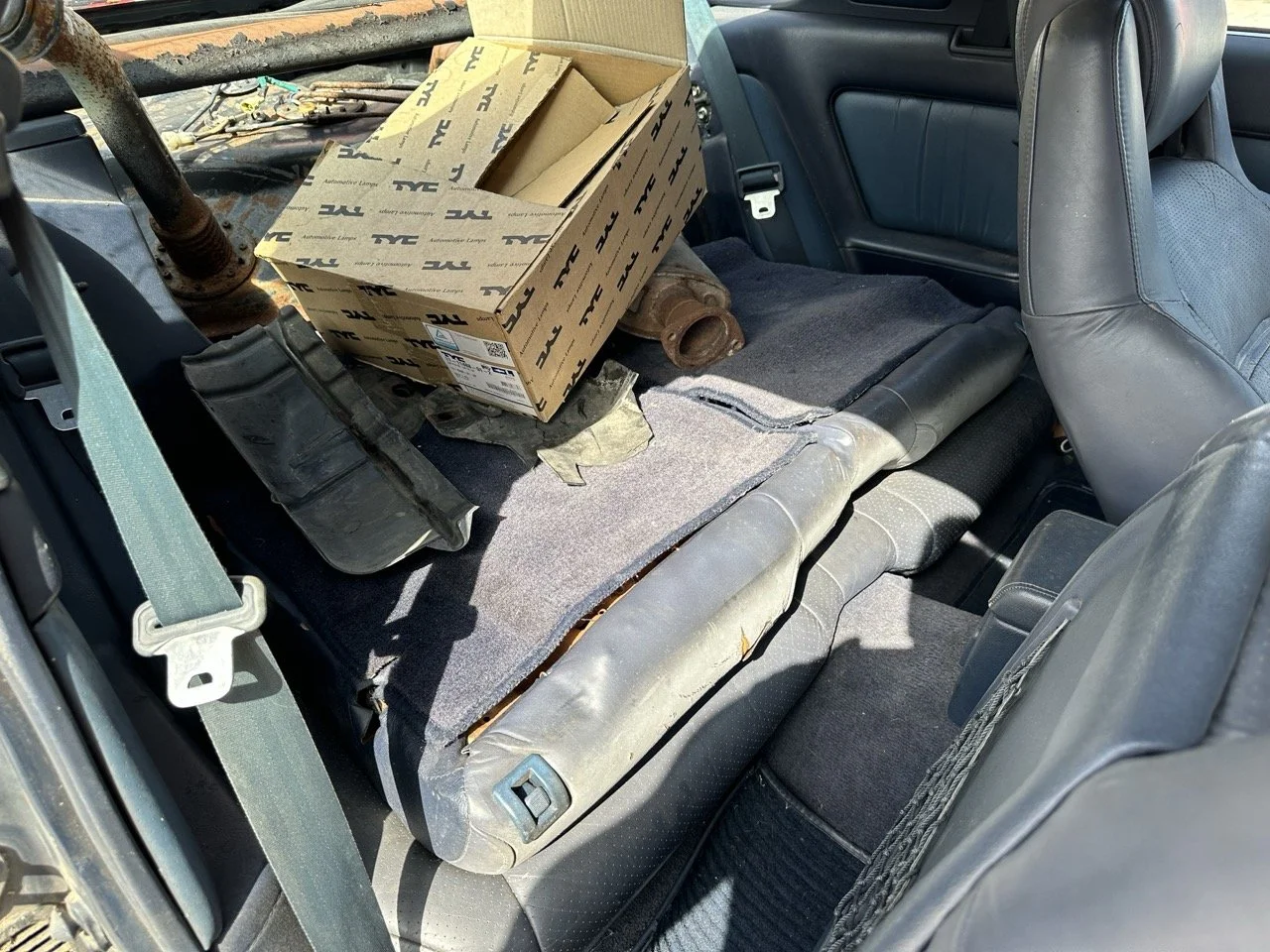 IMG_7186 – grande.jpeg