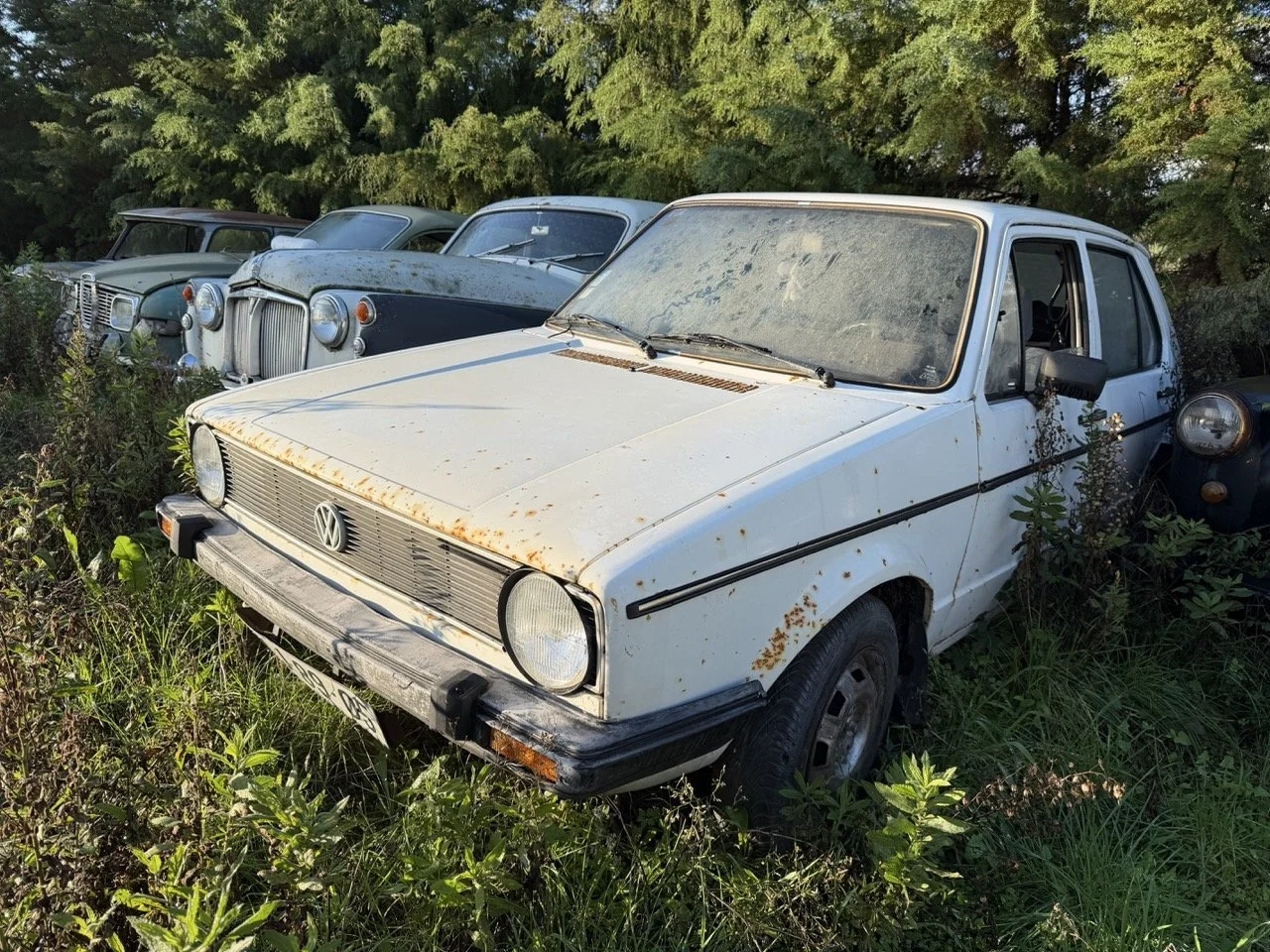 IMG_8984 2 – grande.jpeg