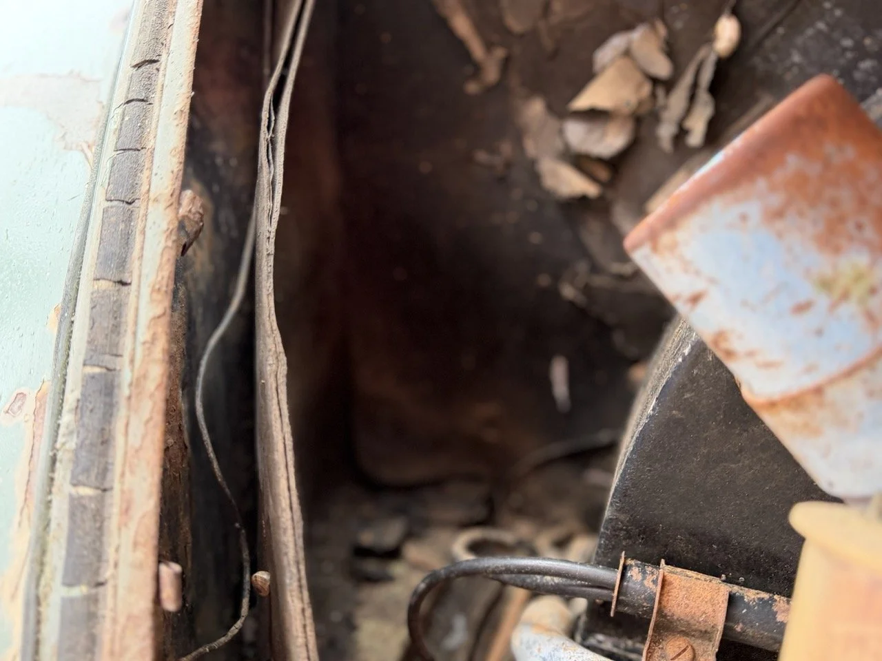 IMG_1166 – grande.jpeg