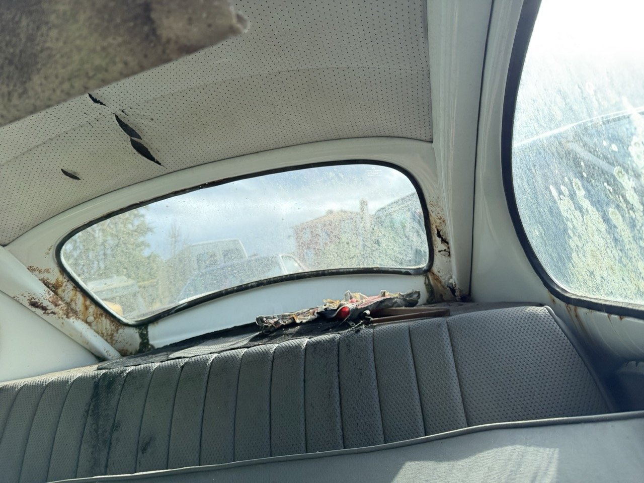 IMG_8606 – grande.jpeg