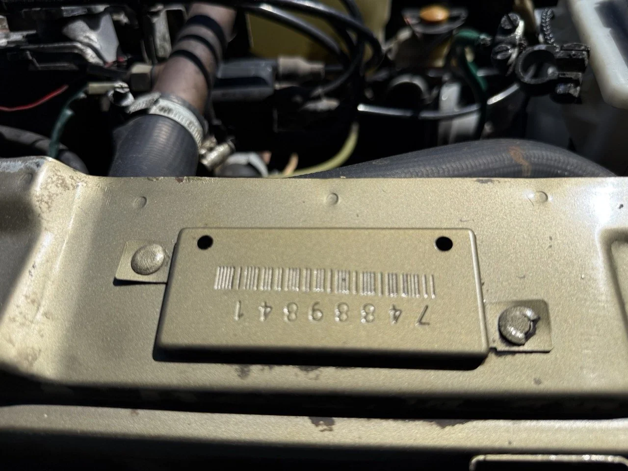 IMG_1900 – grande.jpeg