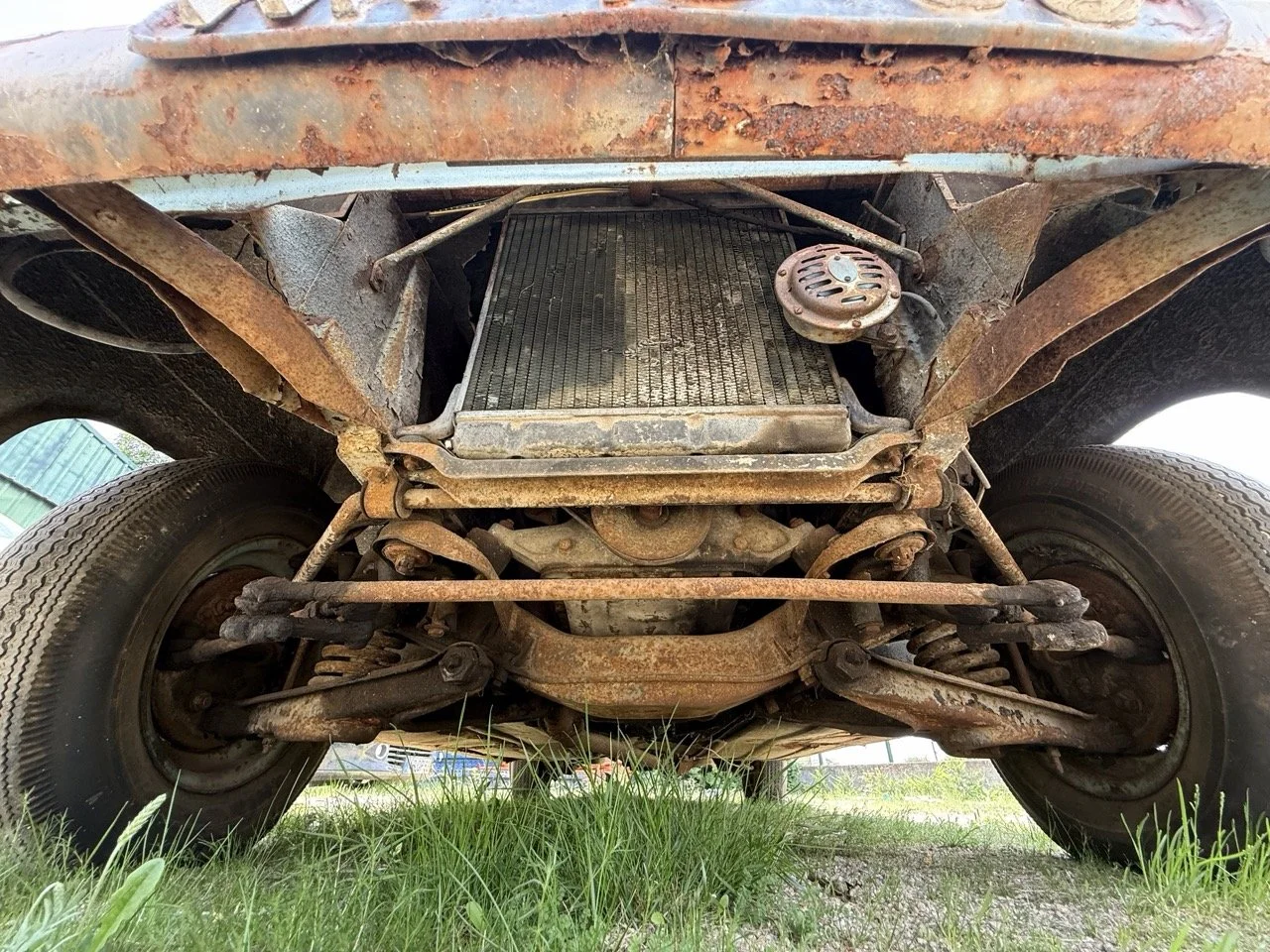 IMG_1436 – grande.jpeg