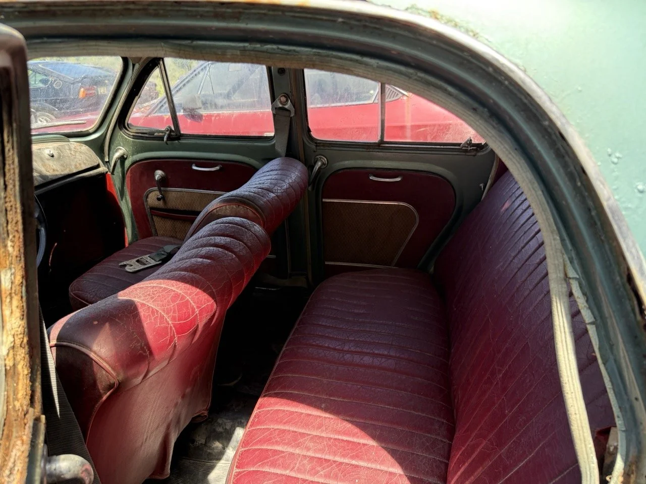 IMG_0833 – grande.jpeg