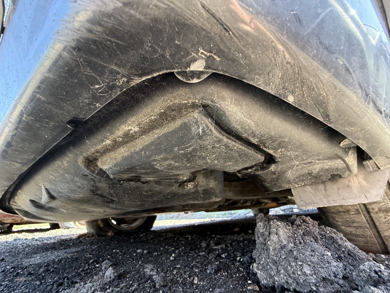 IMG_1810 – grande.jpeg