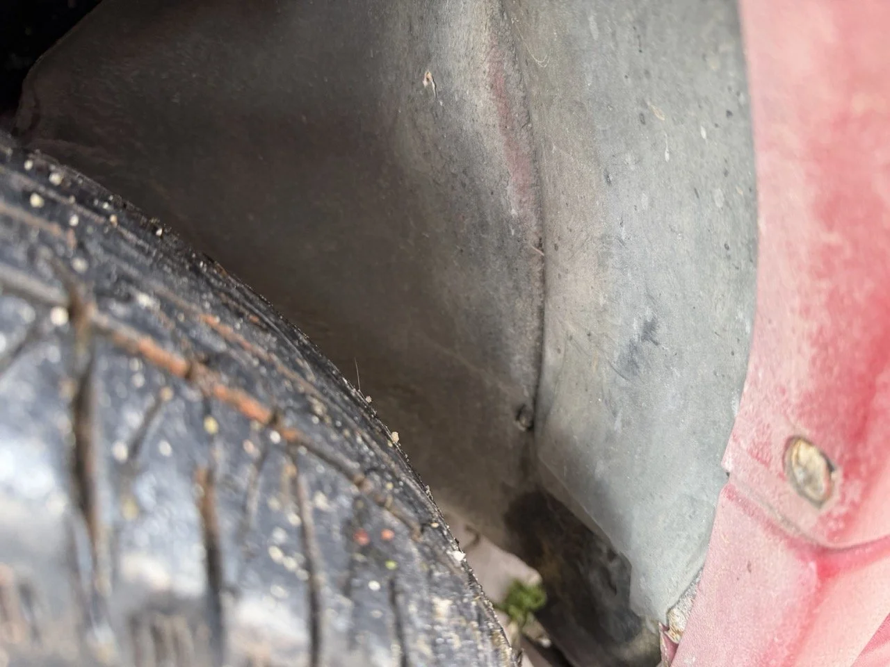 IMG_0464 – grande.jpeg