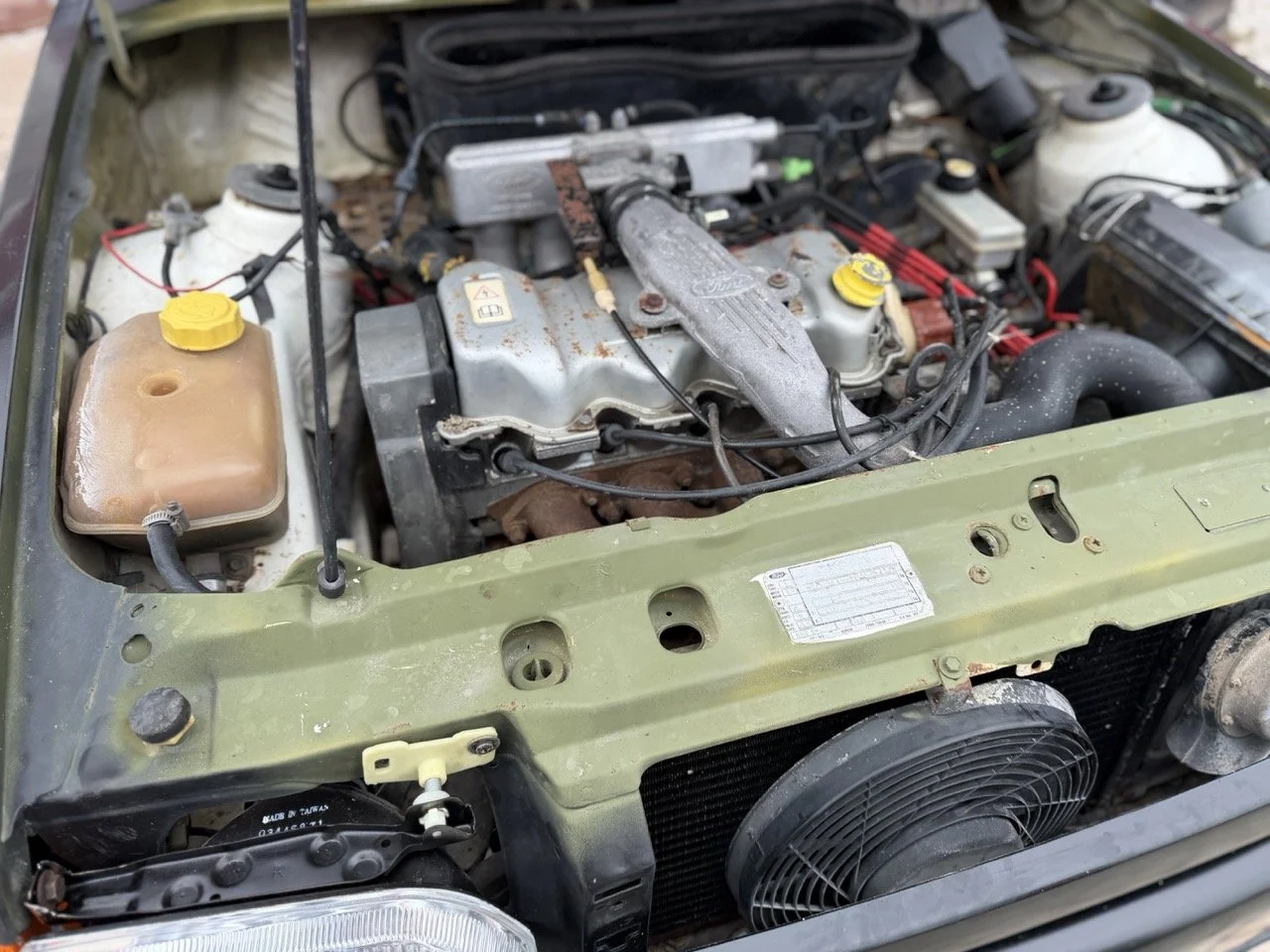 IMG_1352 – grande.jpeg