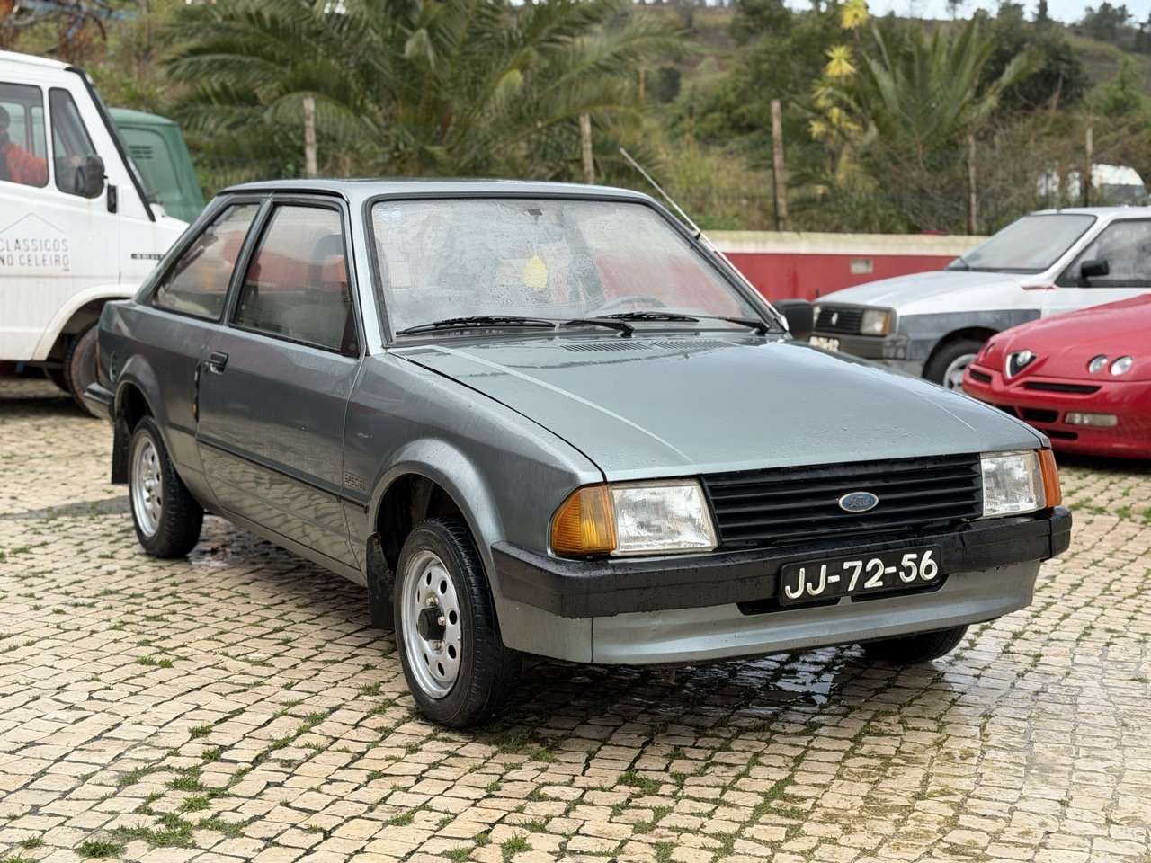 IMG_0577 2 – grande.jpeg