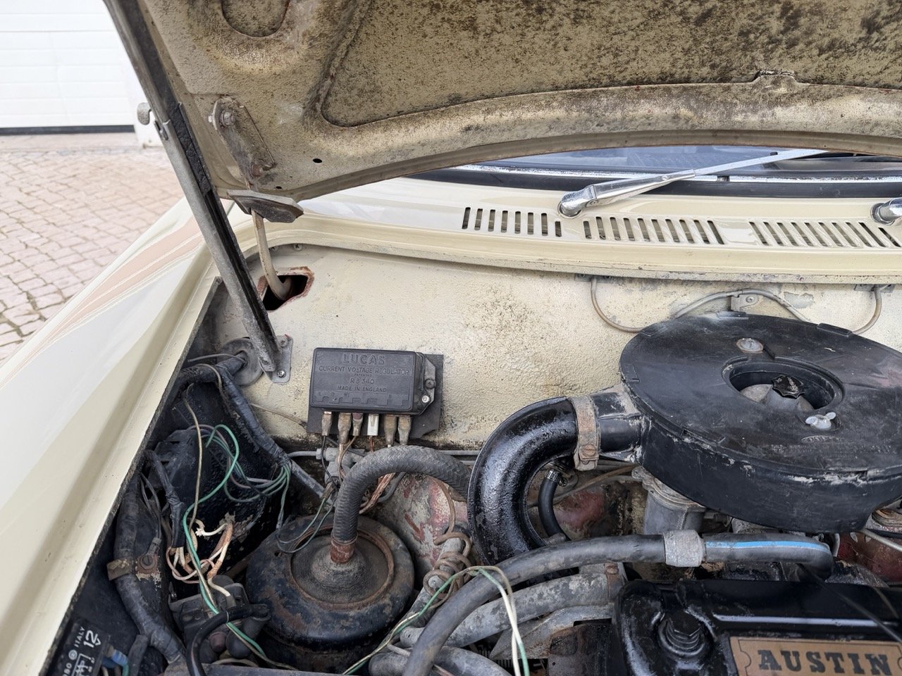 IMG_4075 – grande.jpeg