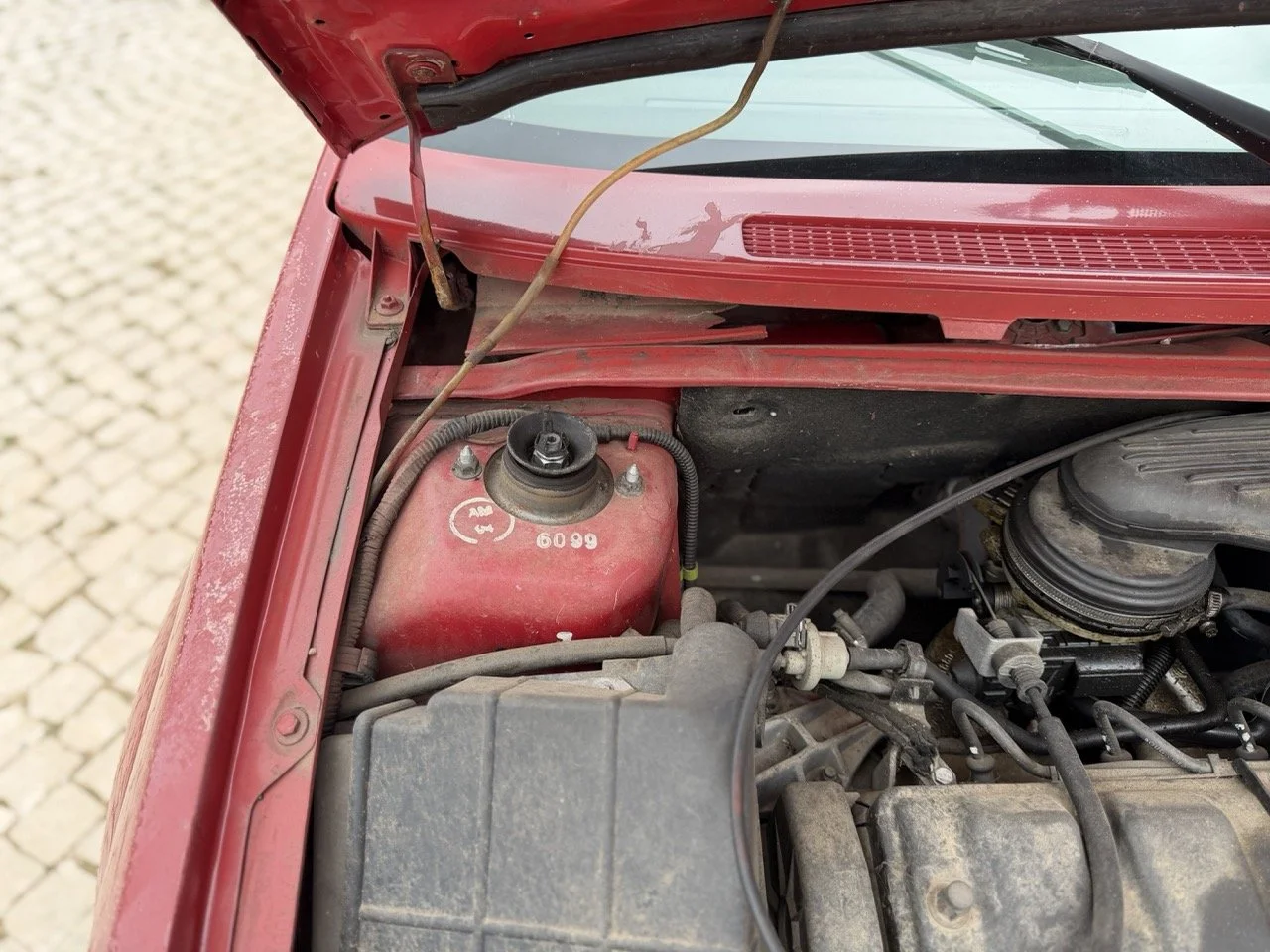 IMG_3598 – grande.jpeg