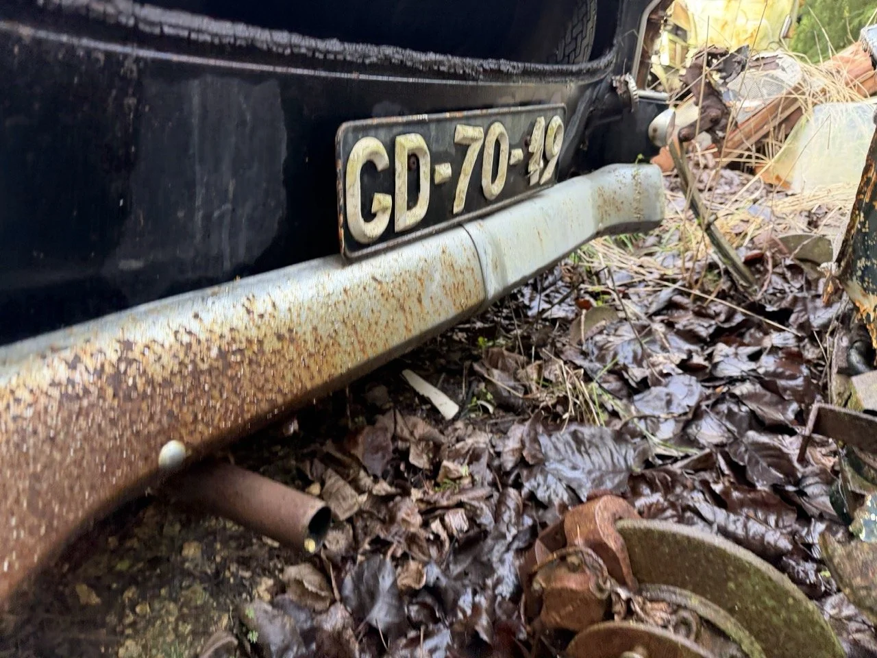 IMG_5075 – grande.jpeg