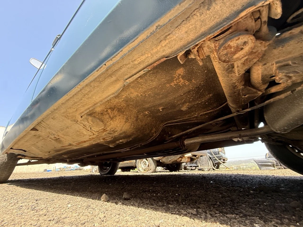 IMG_0807 – grande.jpeg