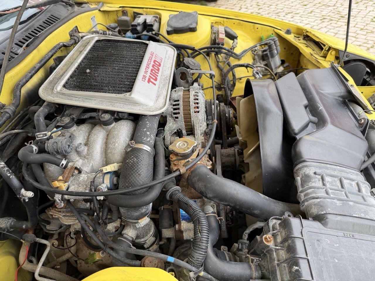 IMG_9759 – grande.jpeg