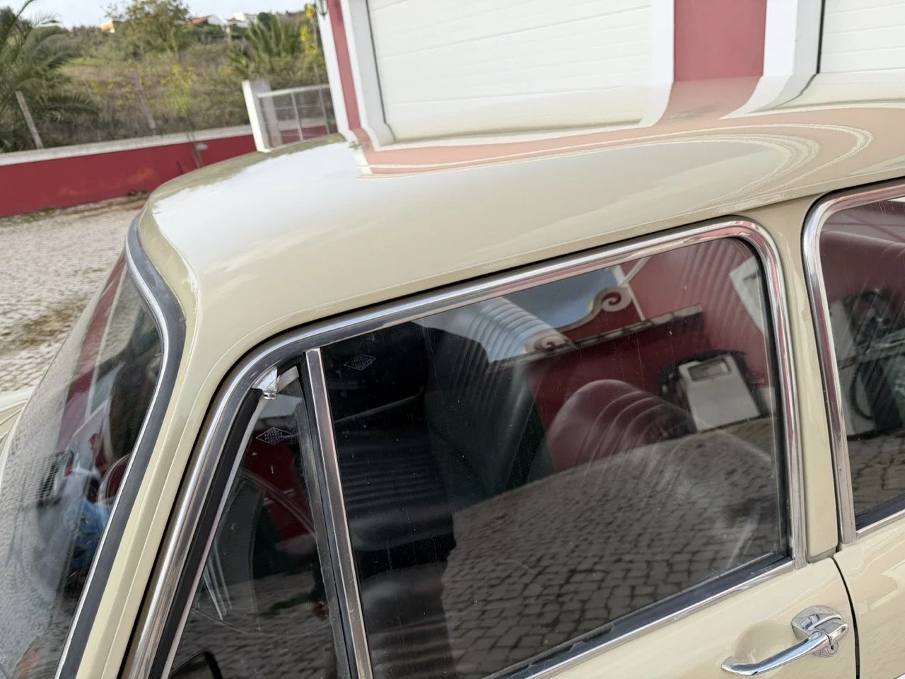 IMG_4100 – grande.jpeg