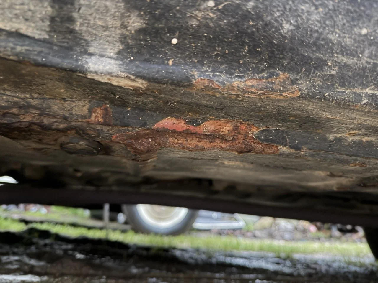 IMG_0133 – grande.jpeg