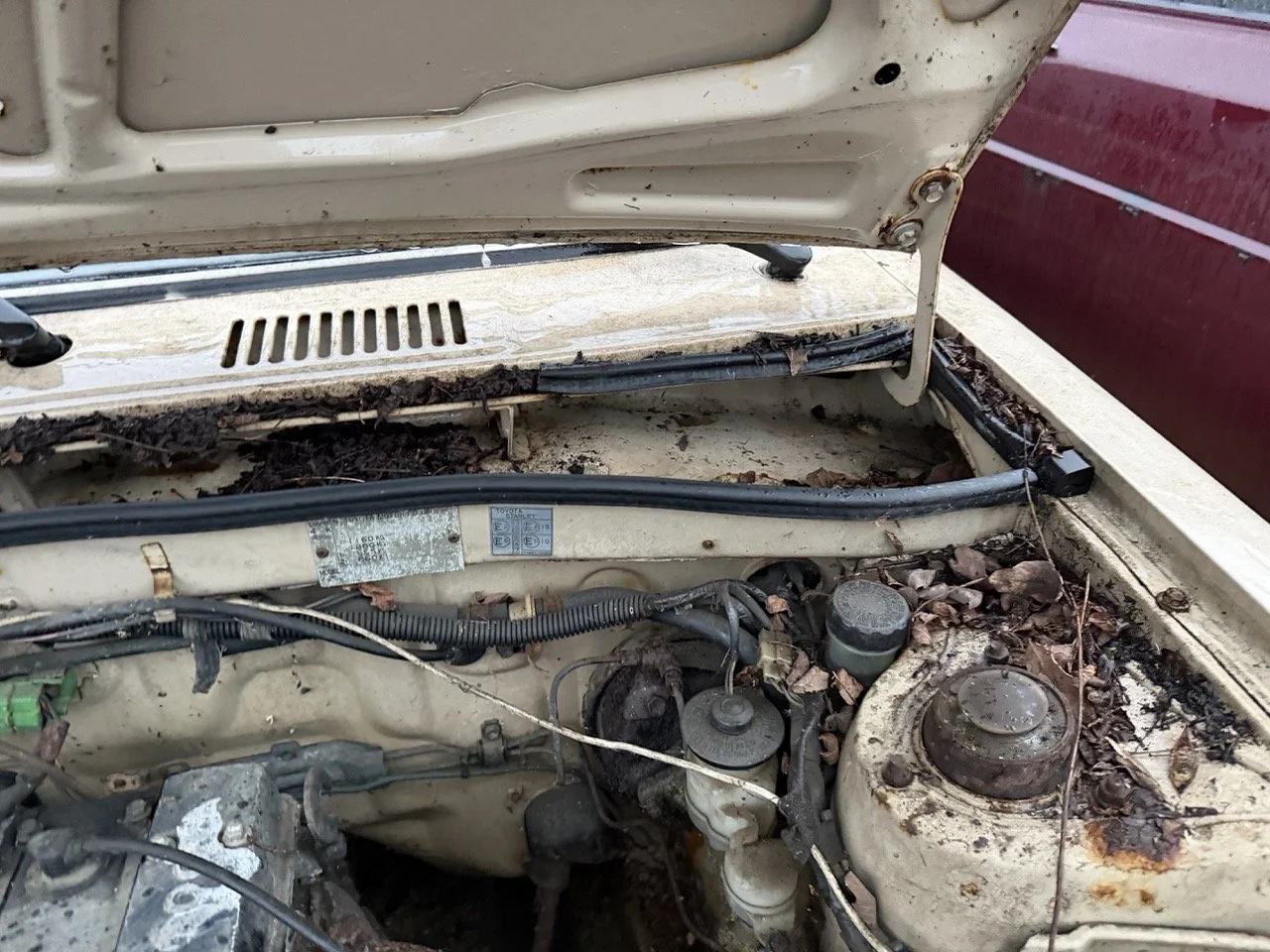 IMG_0243 – grande.jpeg