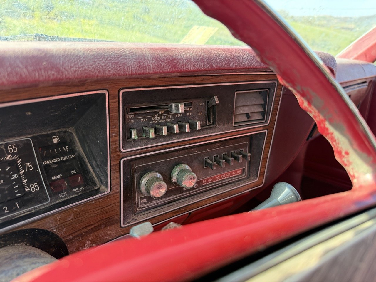 IMG_3018 – grande.jpeg