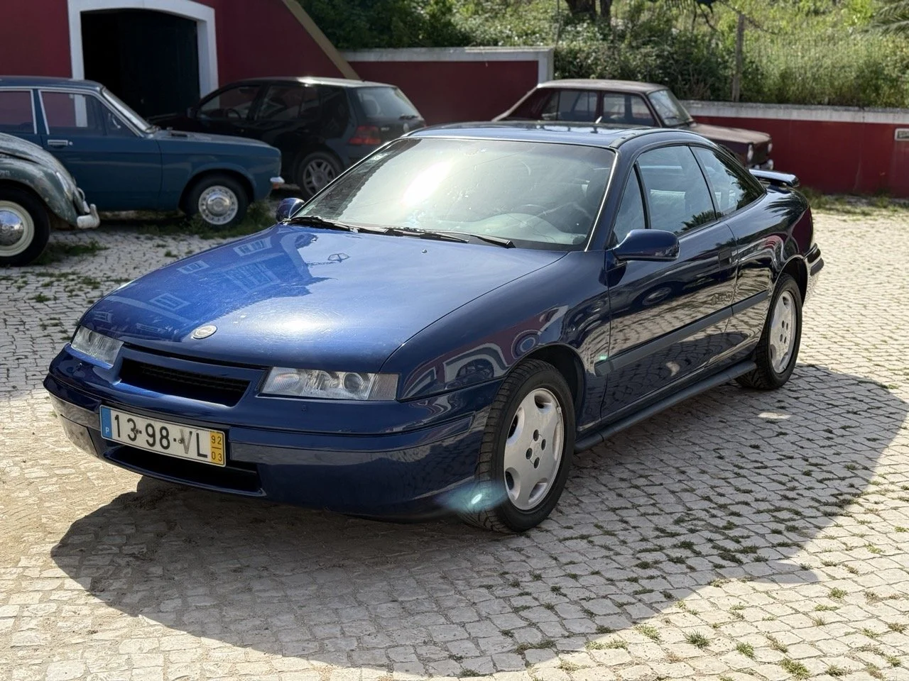 IMG_2387 – grande.jpeg