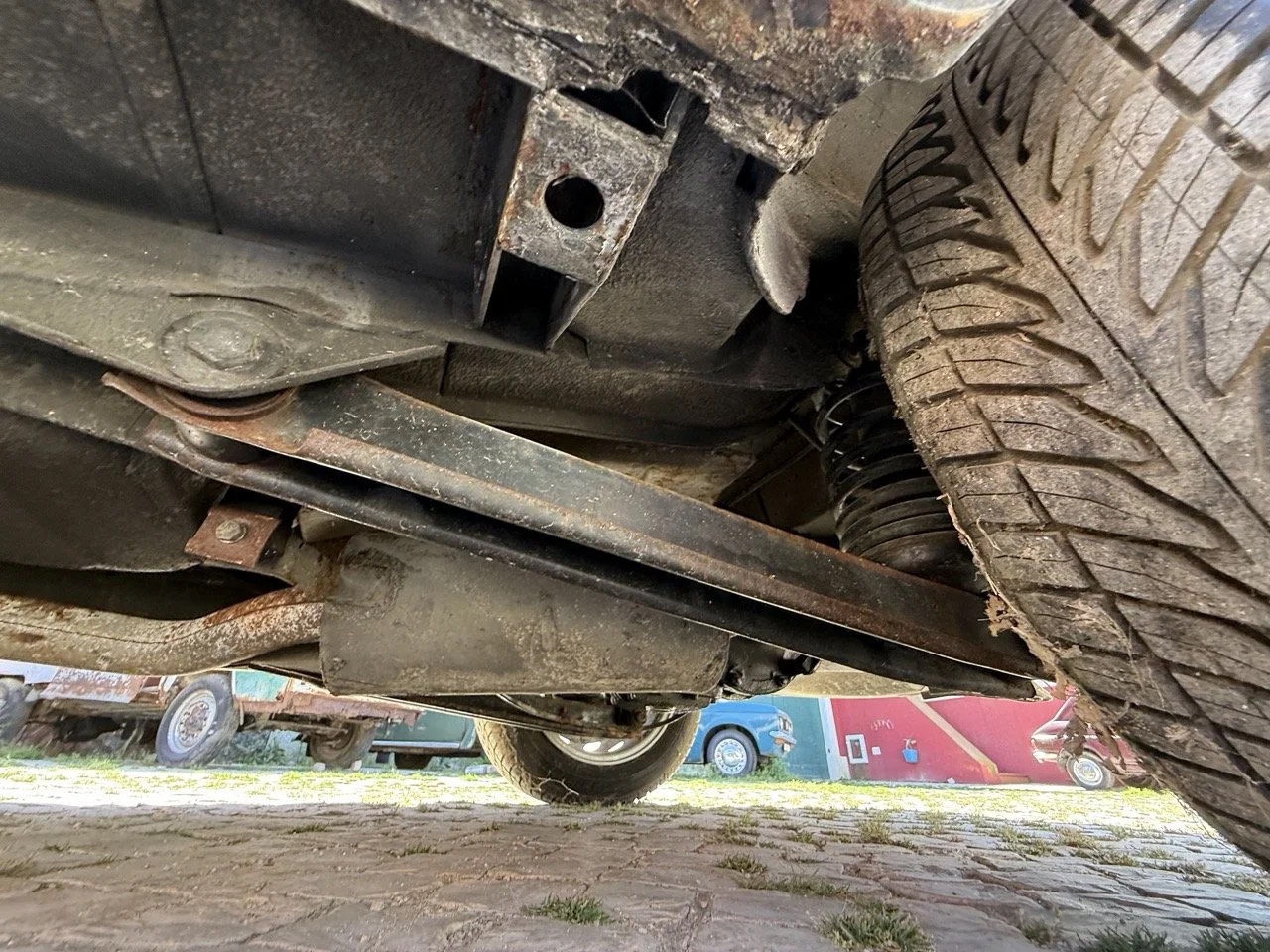 IMG_2239 – grande.jpeg