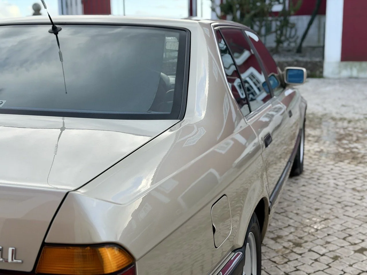 IMG_6929 – grande.jpeg