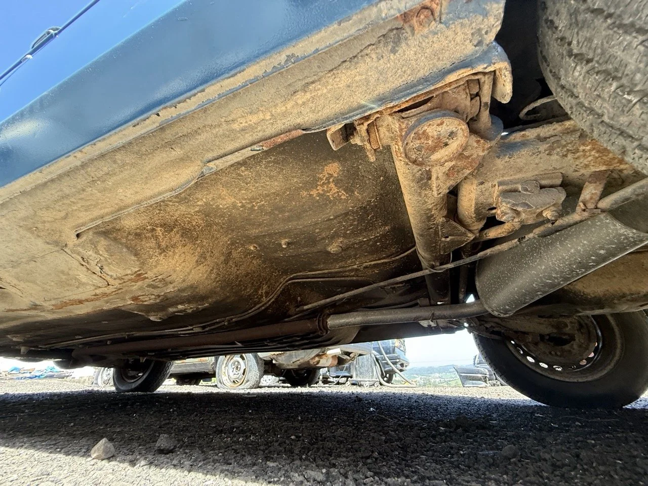 IMG_0806 – grande.jpeg