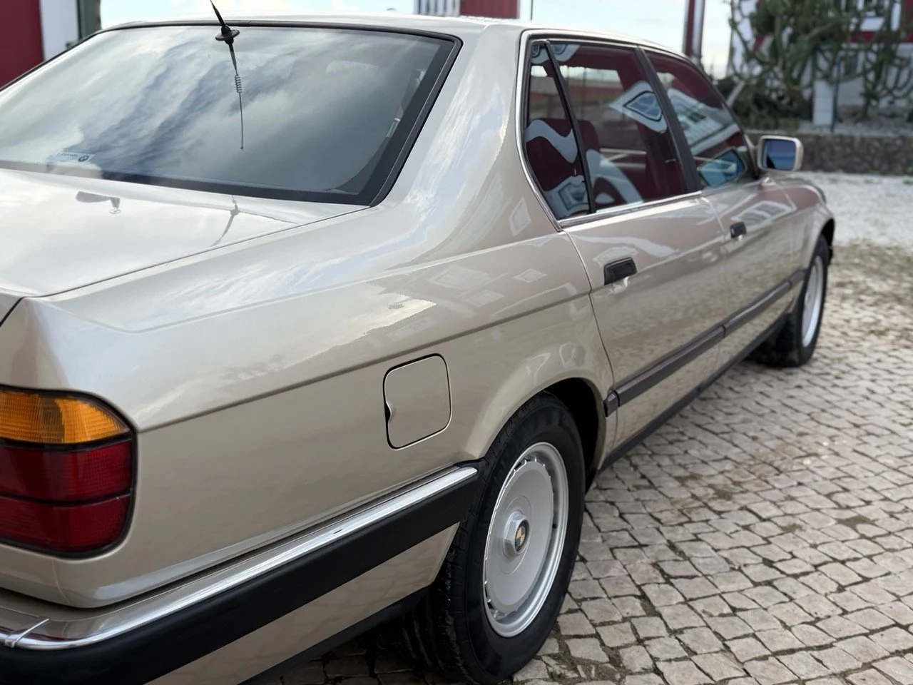 IMG_6931 2 – grande.jpeg