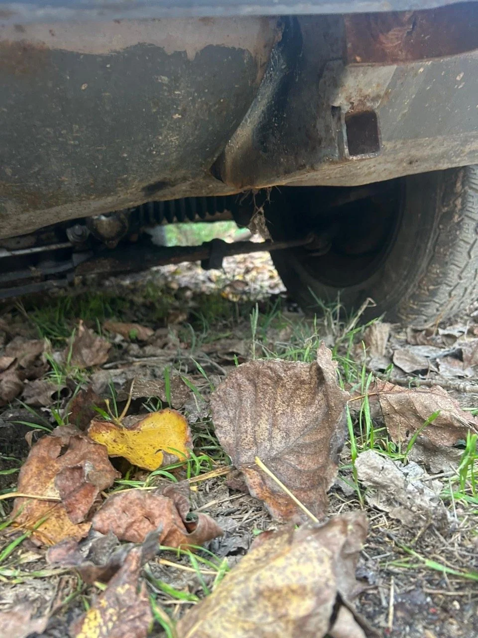 b3cb1bf0-73ba-499f-b733-770b676d9a40 – grande.jpeg