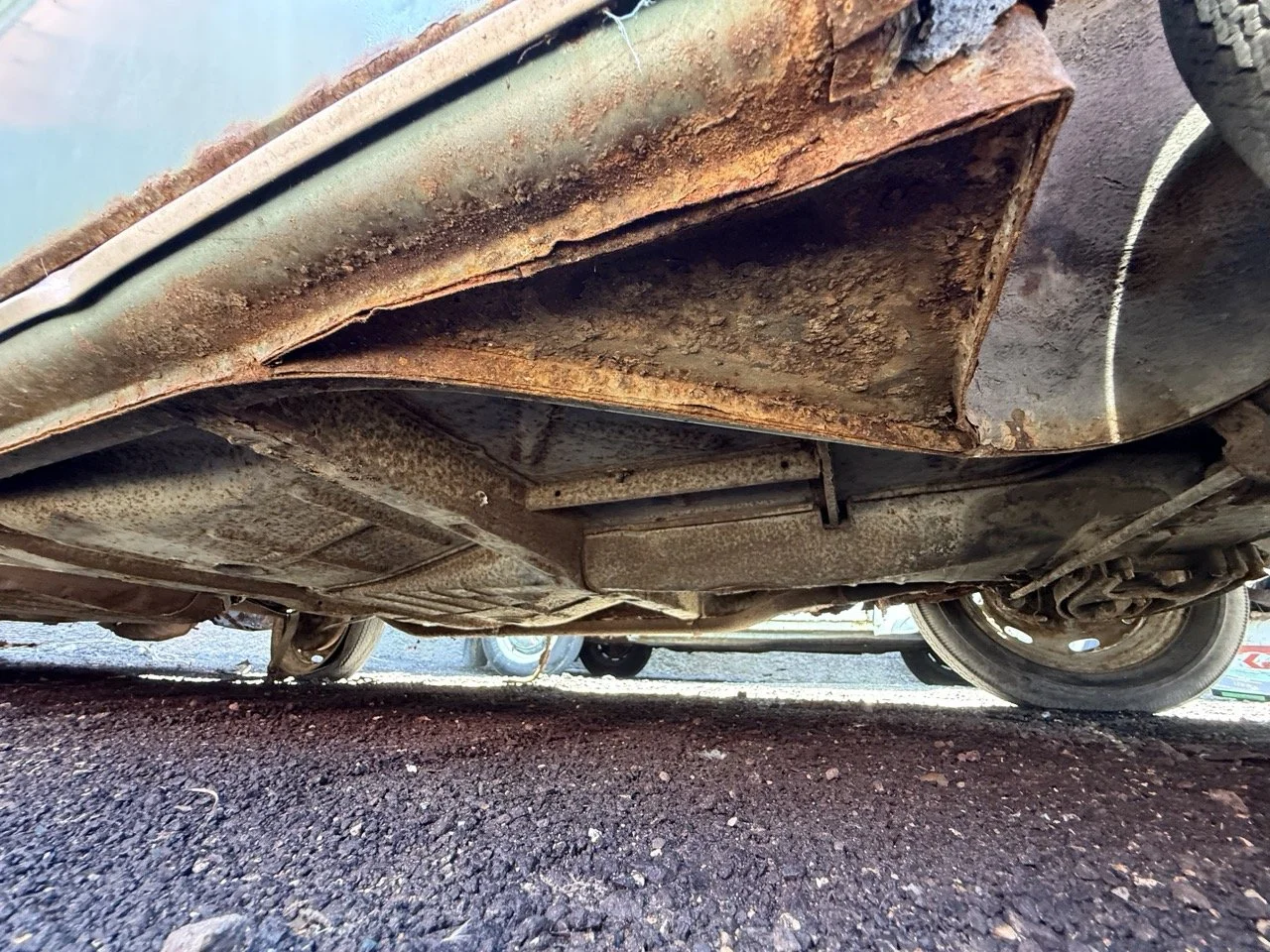 IMG_0896 – grande.jpeg