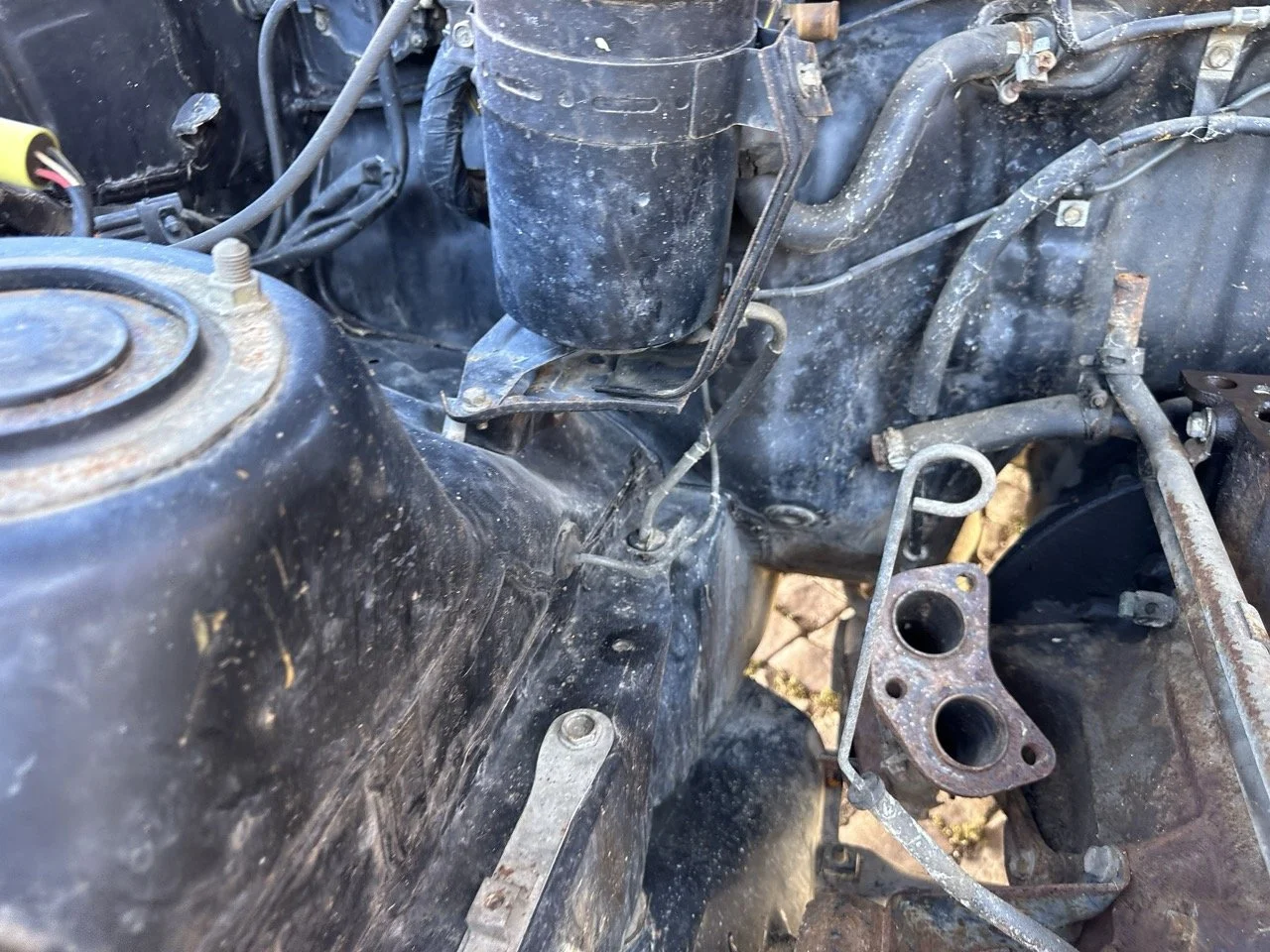 IMG_3081 – grande.jpeg