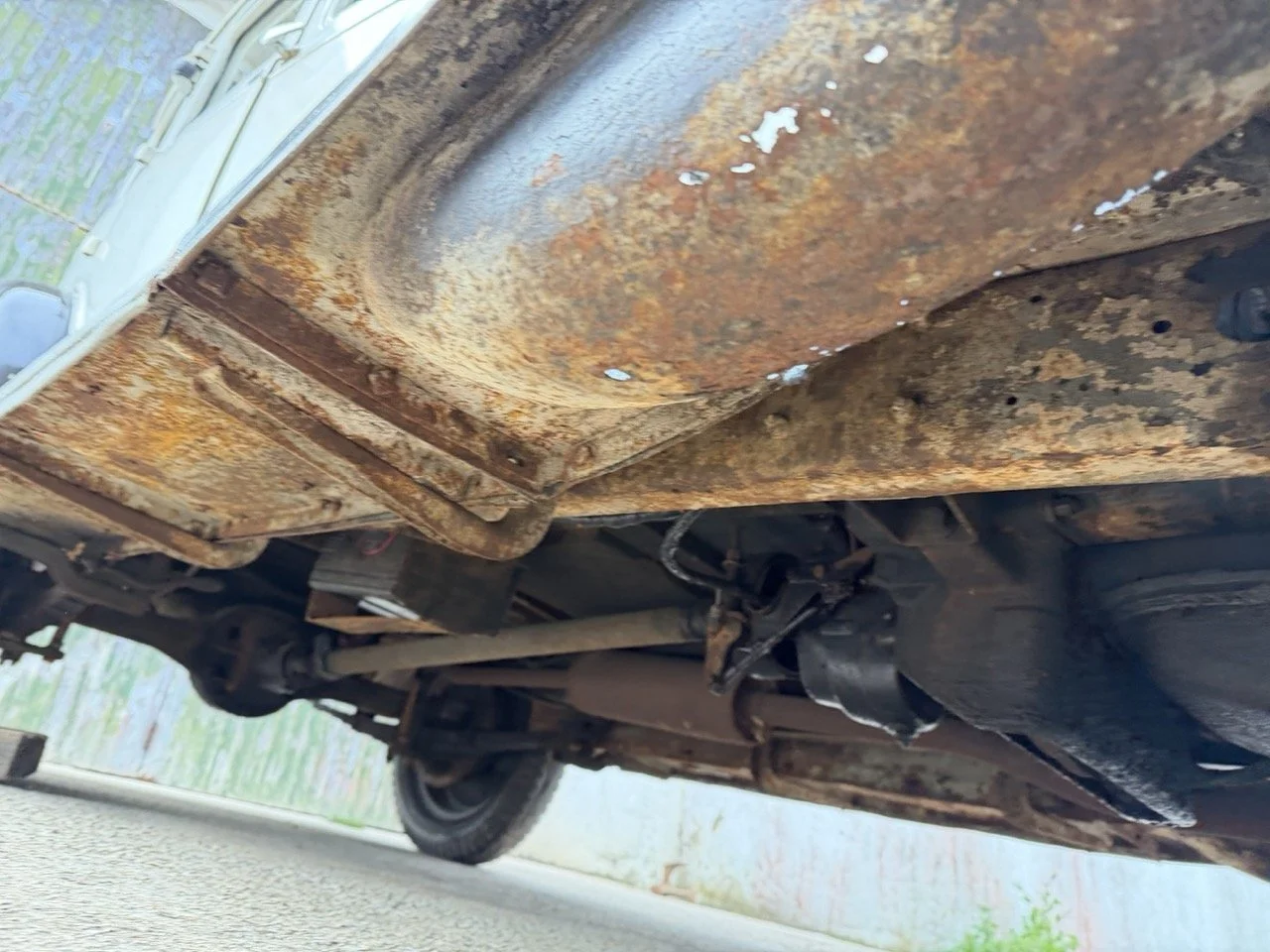 IMG_1658 – grande.jpeg