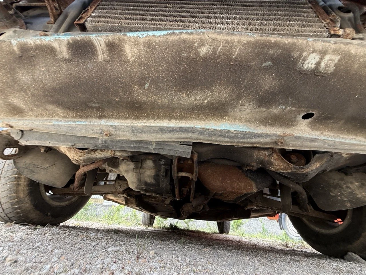 IMG_1574 – grande.jpeg