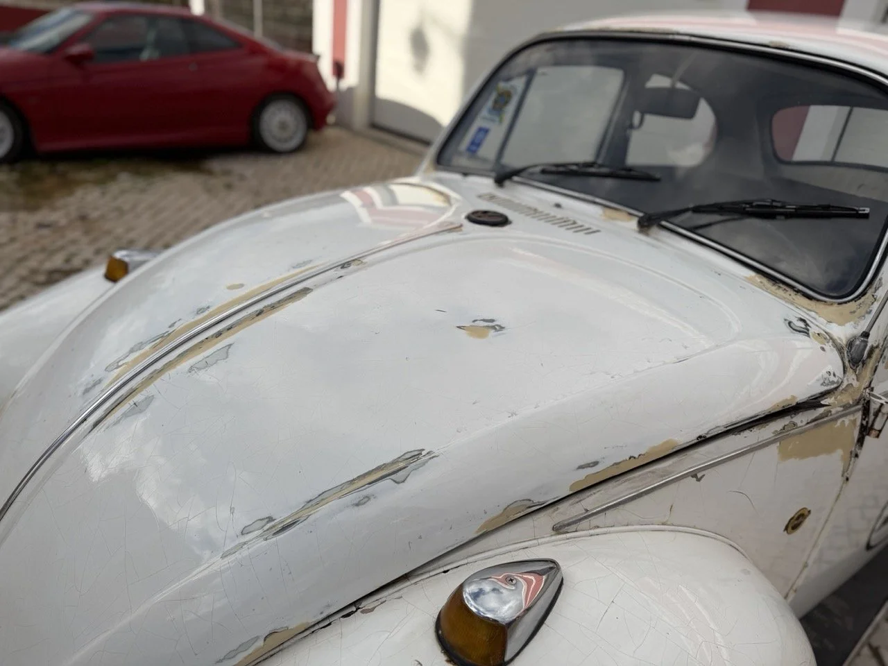 IMG_8659 – grande.jpeg