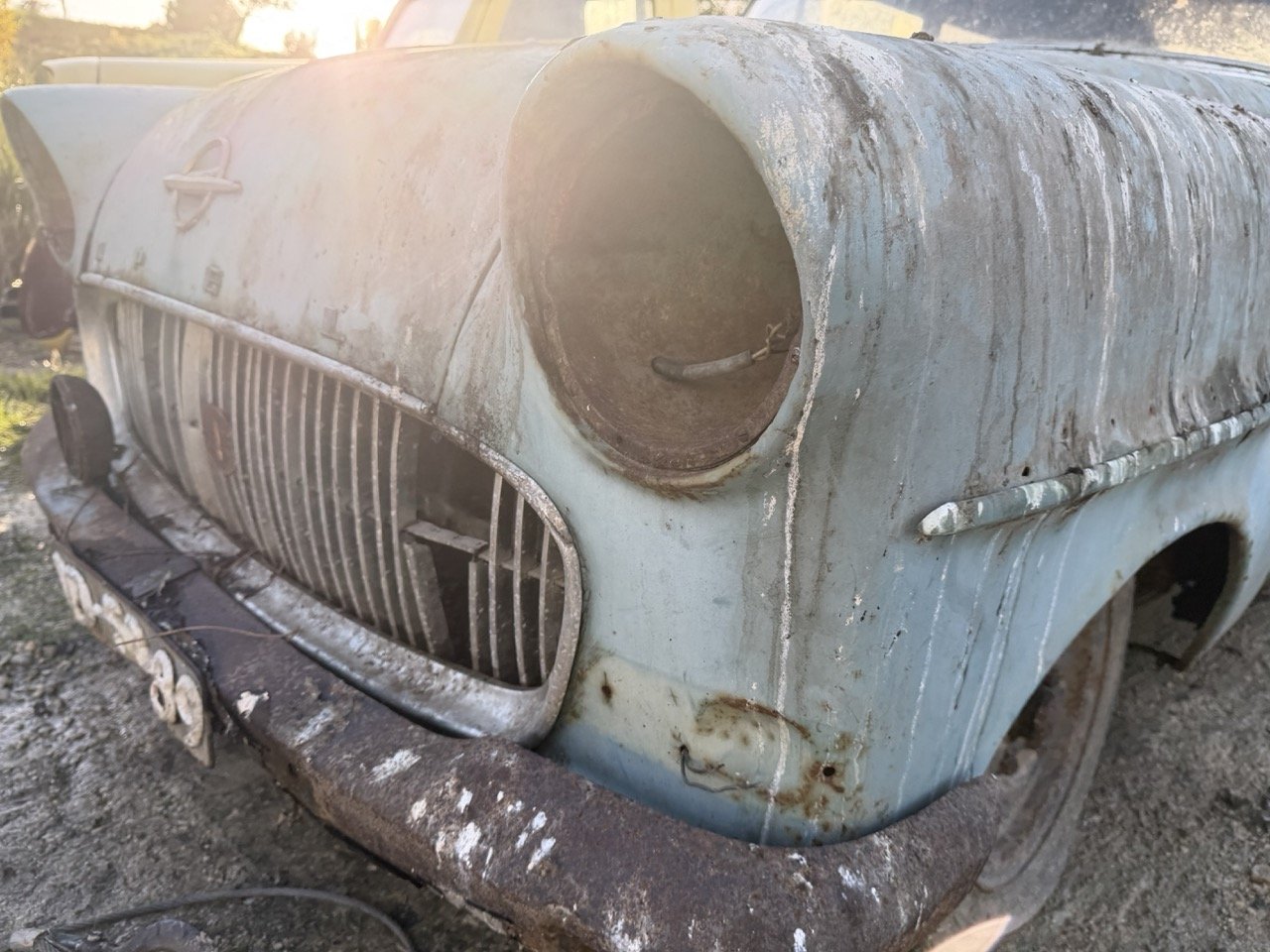 IMG_4057 – grande.jpeg