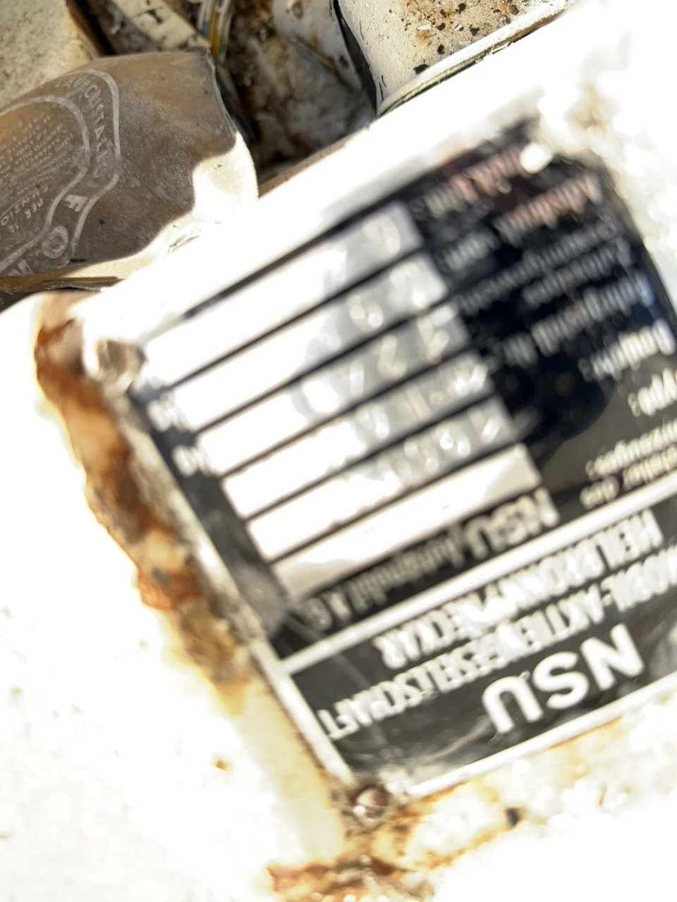 IMG_2545 – grande.jpeg