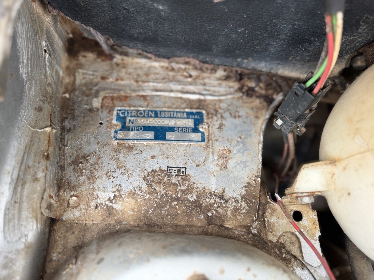 IMG_0524 – grande.jpeg